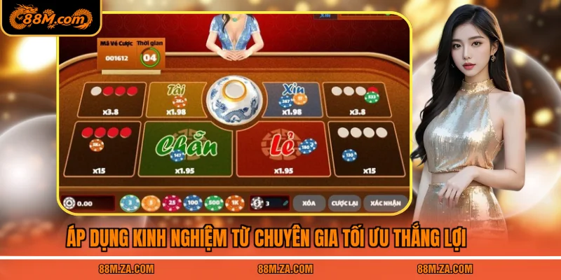 Áp dụng kinh nghiệm từ chuyên gia tối ưu thắng lợi